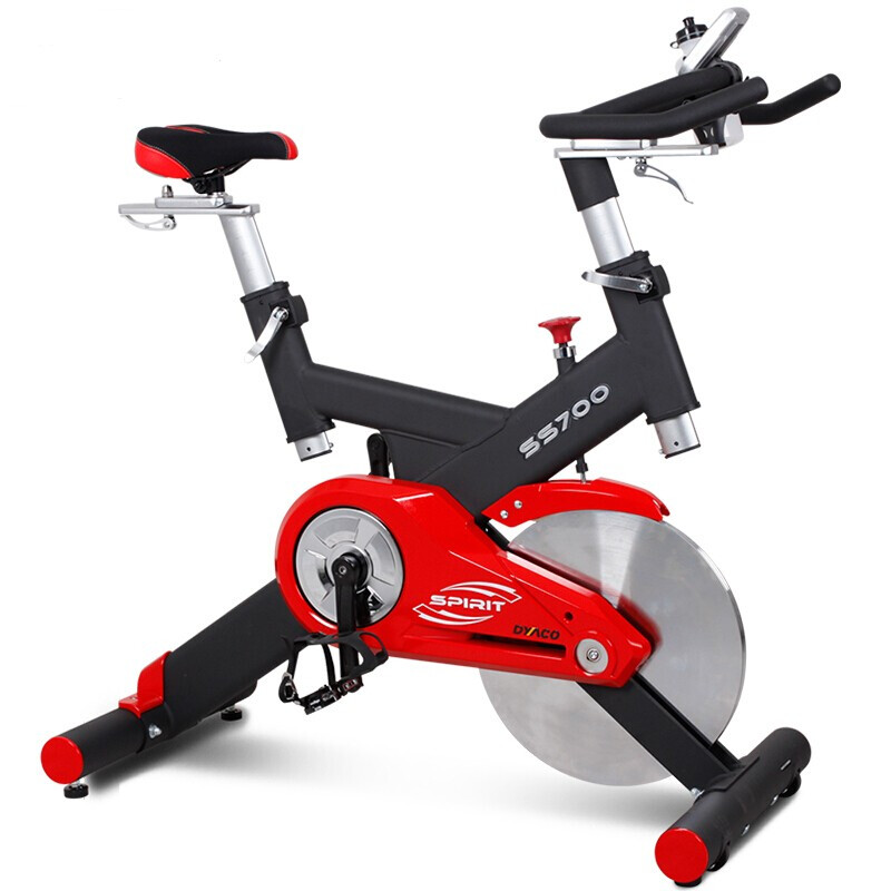 岱宇（DYACO）動感單車SS700進(jìn)口靜音家用款動感單車騎行車自行車室內(nèi)健身器 送貨安裝 SS700